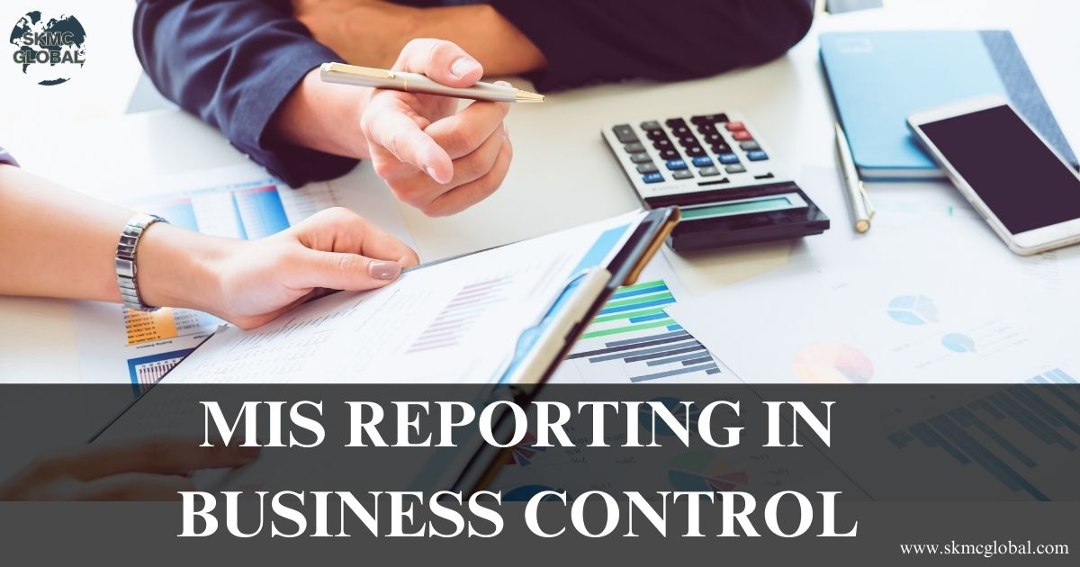 How Management Information System (MIS) reporting helps to control the business?
