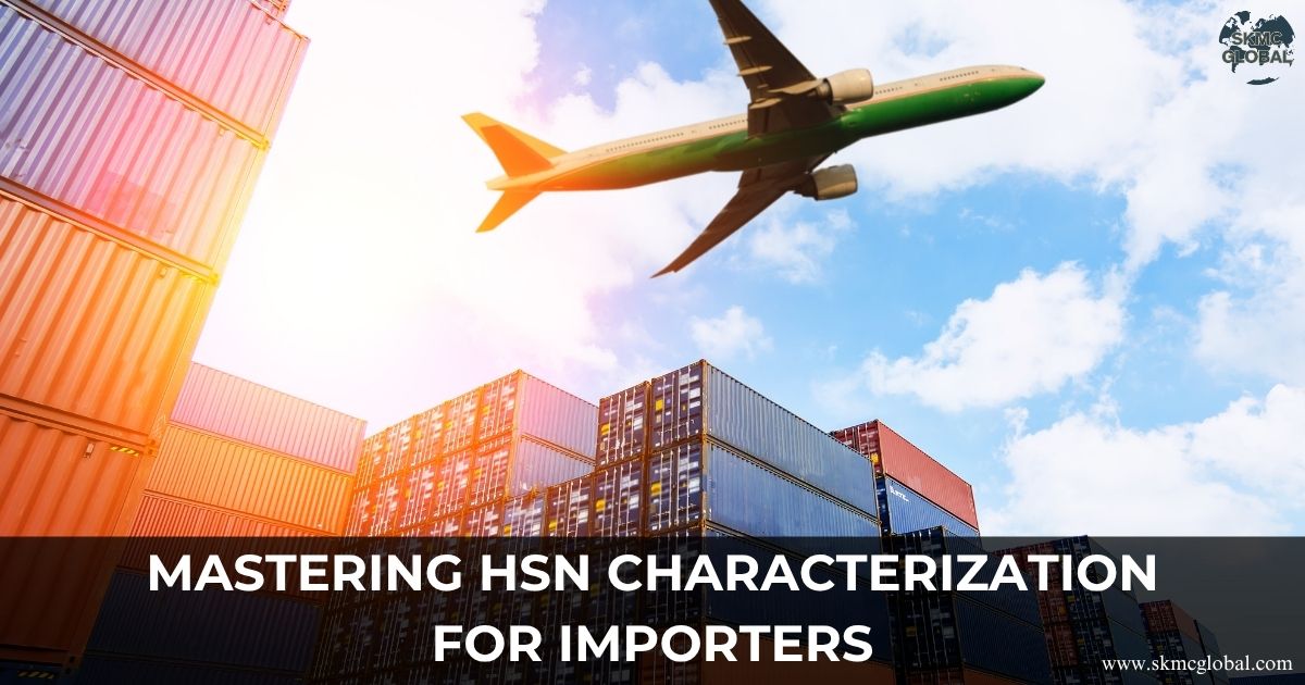 Mastering HSN Characterization for Importers