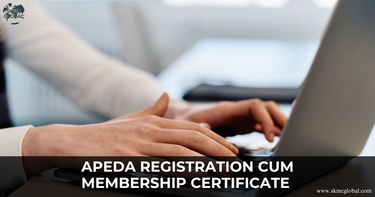 What is the relevance of APEDA Registration and its process?