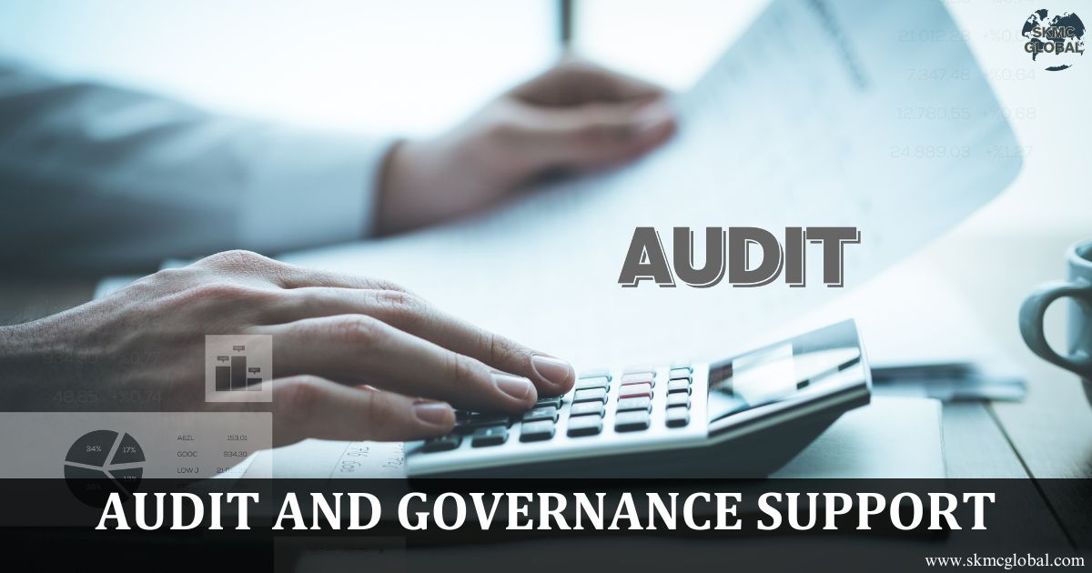 Audit & Governance Support